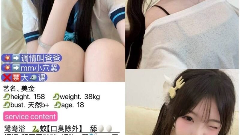 杭州湖滨高端商务陪同资料封面