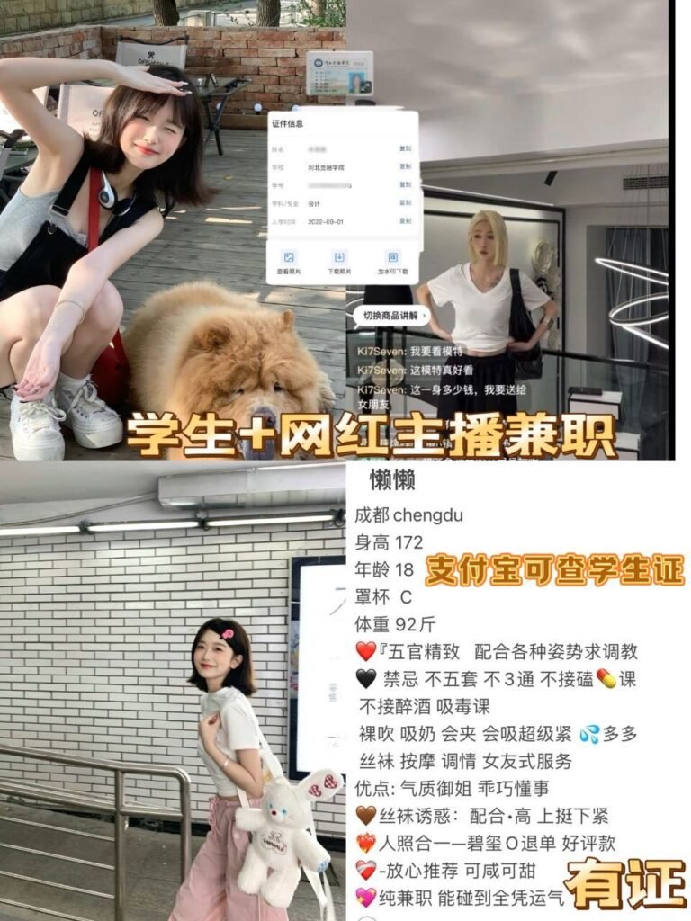 深圳福田中心区高端商务陪同资料封面