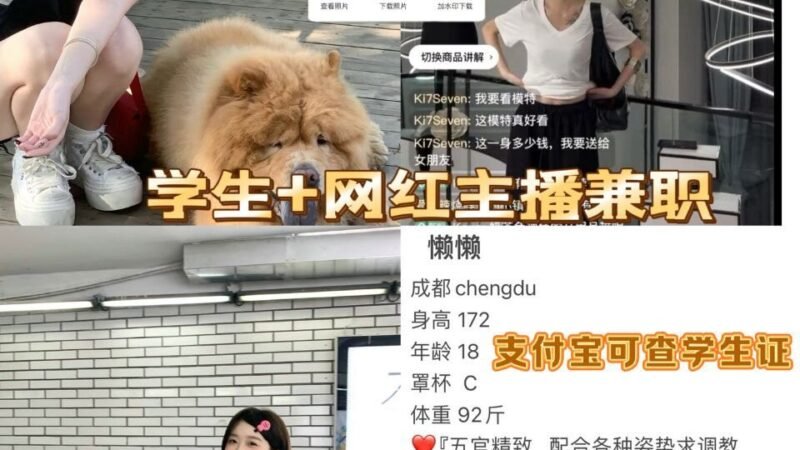 深圳福田中心区高端商务陪同资料封面