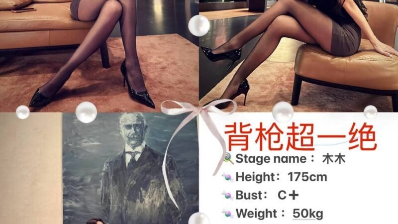 重庆解放碑高端商务陪同资料封面