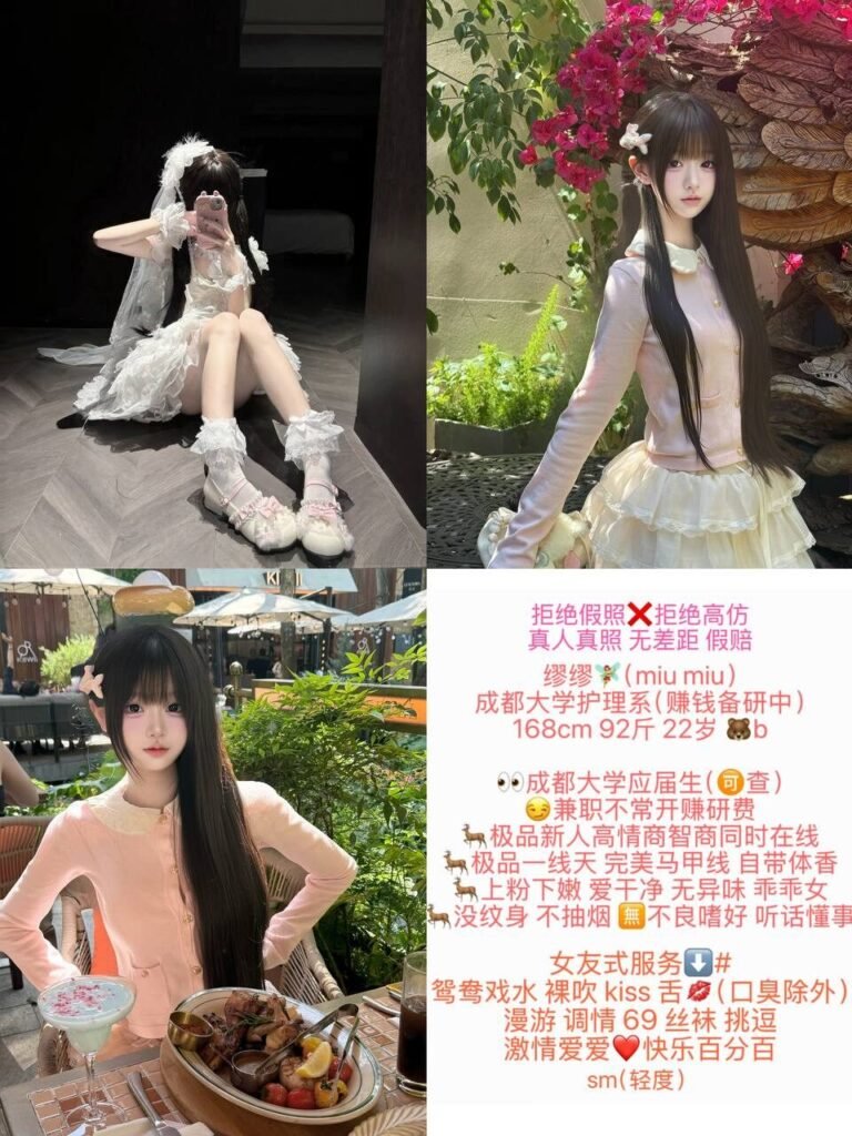 北京三里屯高端商务陪同资料封面