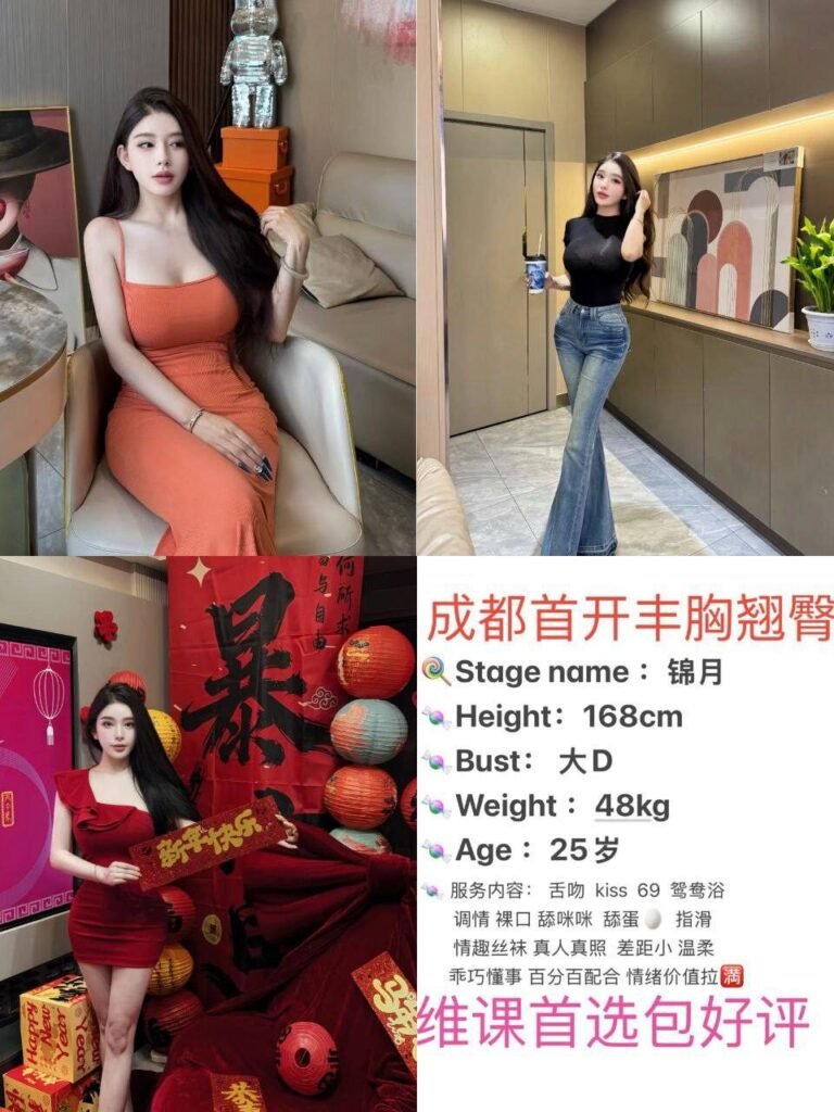 上海新天地高端商务陪同资料封面