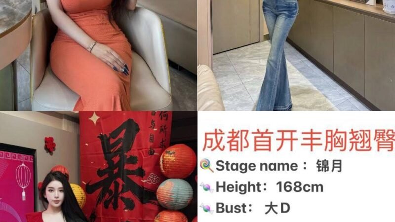上海新天地高端商务陪同资料封面