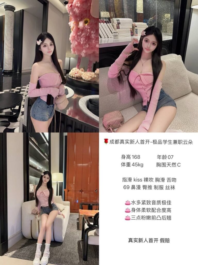 重庆江北嘴高端商务陪同资料封面