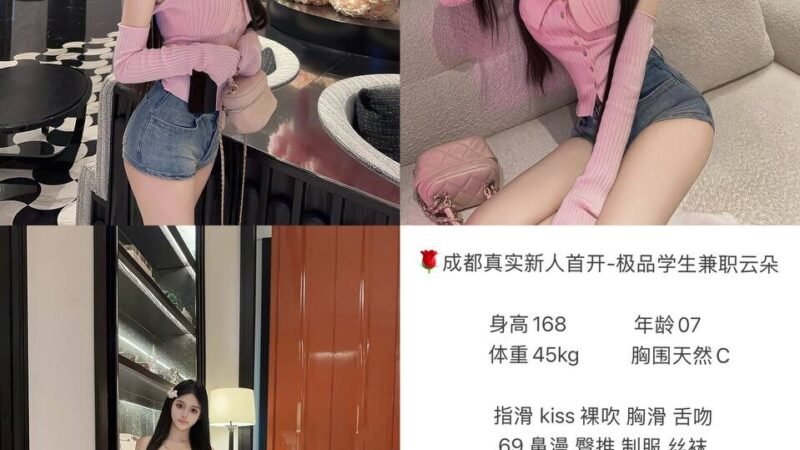 重庆江北嘴高端商务陪同资料封面