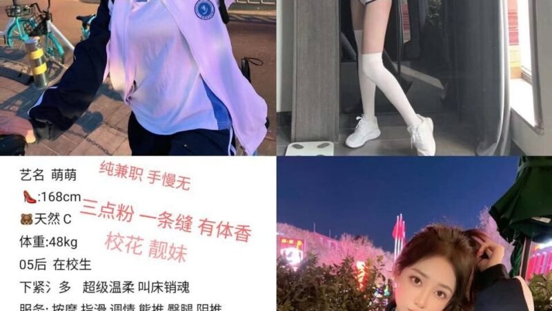 杭州滨江高端商务陪同资料封面