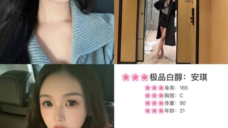 深圳前海高端商务陪同资料封面