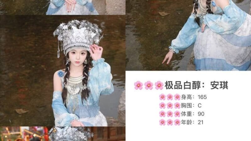 上海静安寺高端商务陪同资料封面