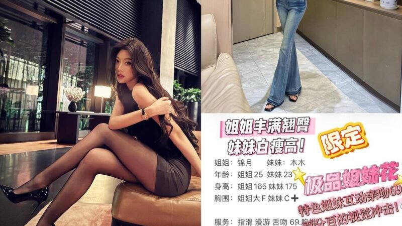 北京望京高端商务陪同资料封面
