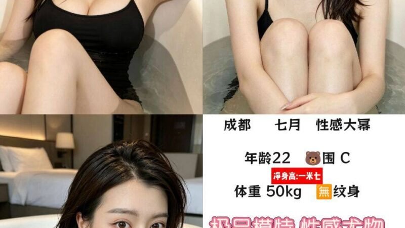 成都麓湖高端商务陪同资料封面
