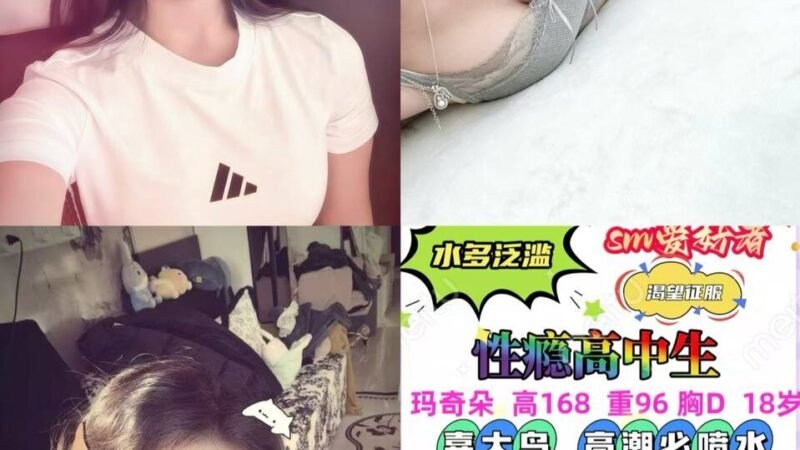 上海徐汇滨江高端商务陪同资料封面