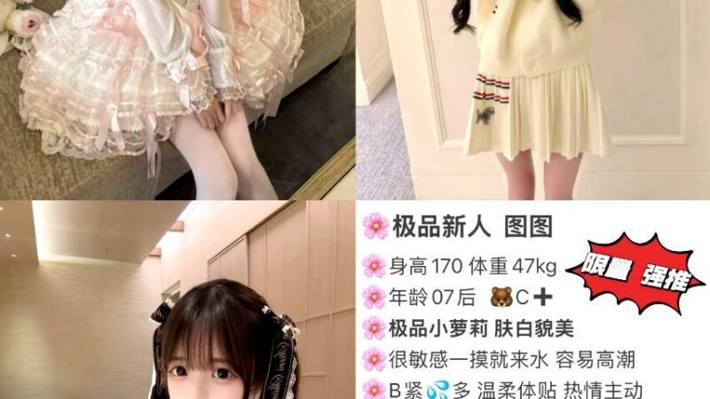 北京CBD高端商务陪同资料封面