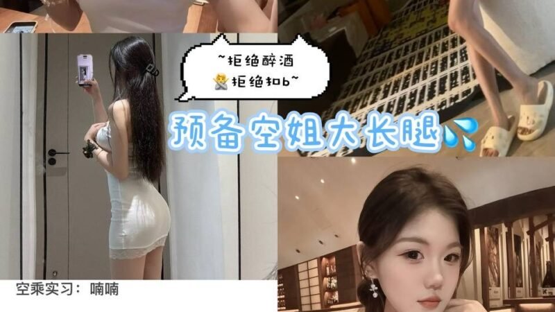 上海西岸高端商务陪同资料封面