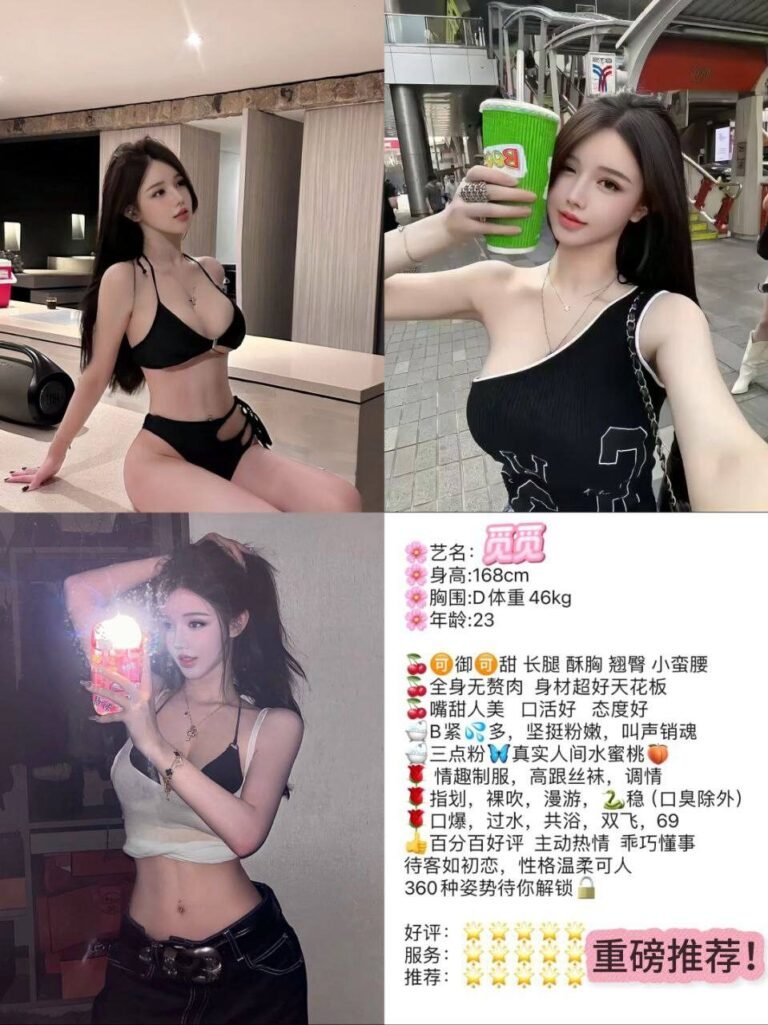 北京朝阳公园高端商务陪同资料封面