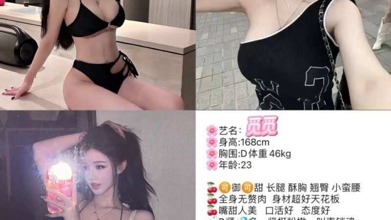北京朝阳公园高端商务陪同资料封面