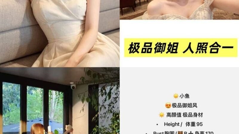 成都锦江高端商务陪同资料封面