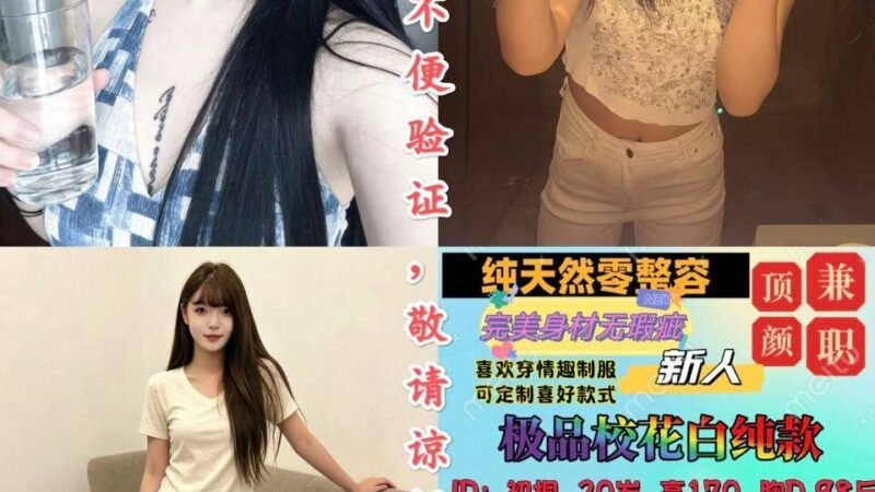 重庆渝中半岛高端商务陪同资料封面