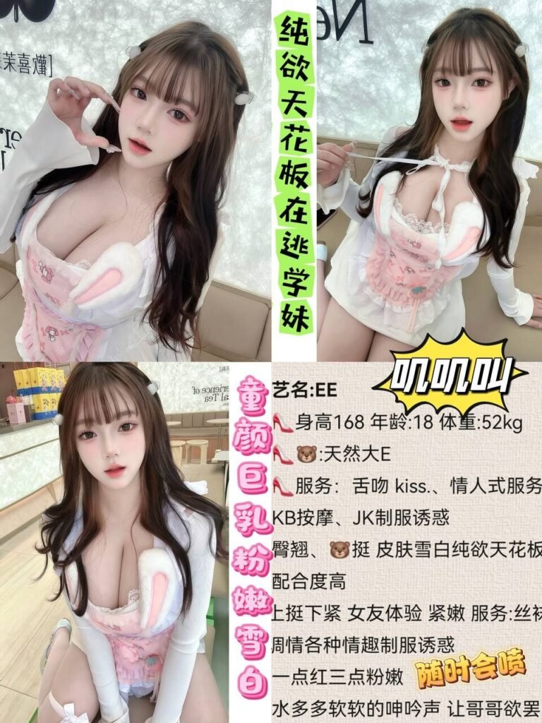 成都高新南区高端商务陪同资料封面