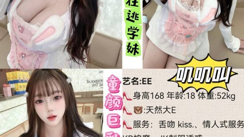 成都高新南区高端商务陪同资料封面