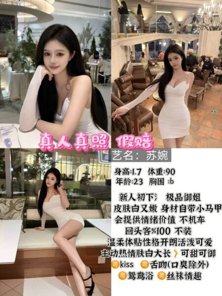 北京东直门高端商务陪同资料封面