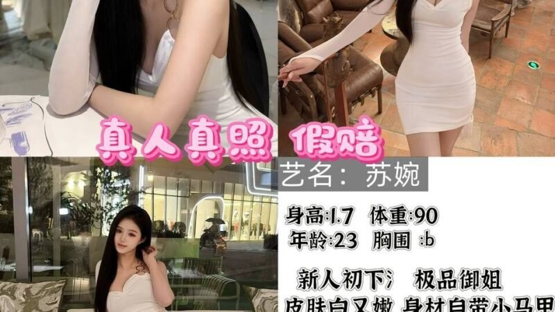 北京东直门高端商务陪同资料封面