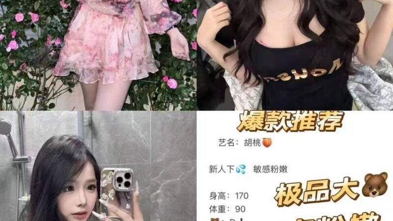 杭州上城高端商务陪同资料封面