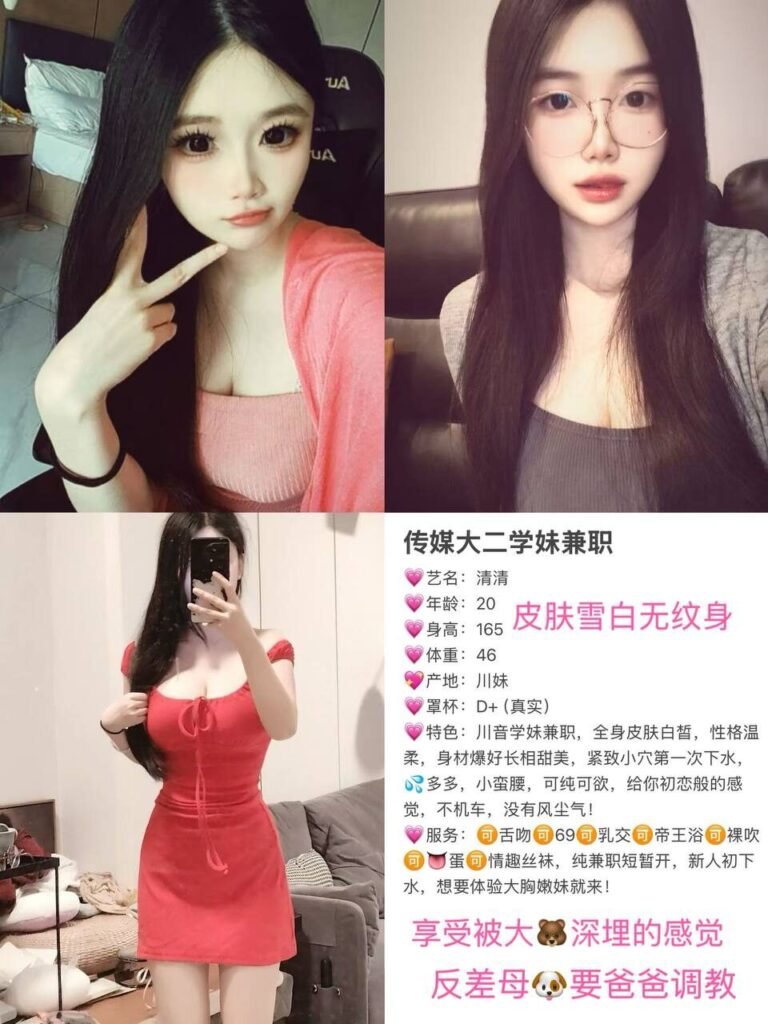 深圳车公庙高端商务陪同资料封面