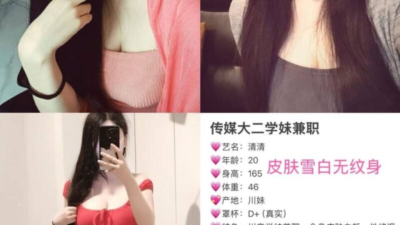 深圳车公庙高端商务陪同资料封面