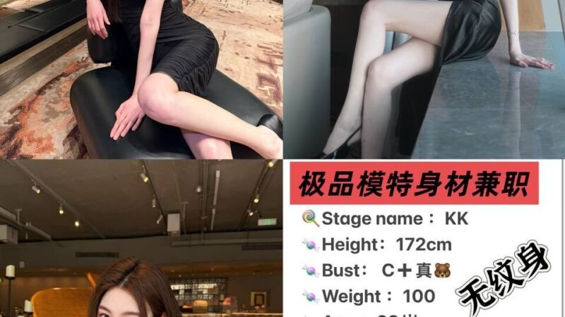 北京建国门高端商务陪同资料封面