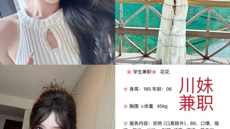 成都望平街高端商务陪同资料封面