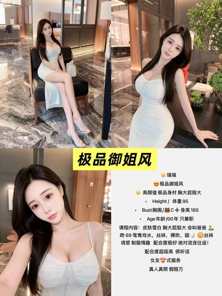 北京西单高端商务陪同资料封面