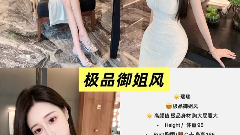 北京西单高端商务陪同资料封面