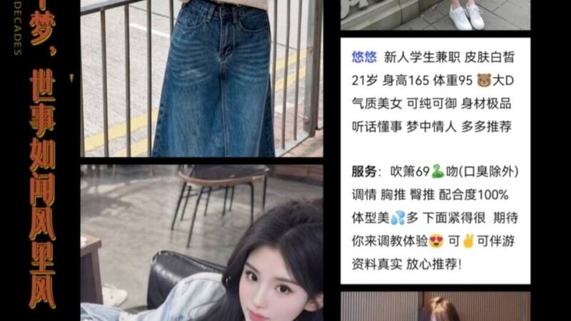 深圳人才公园高端商务陪同资料封面