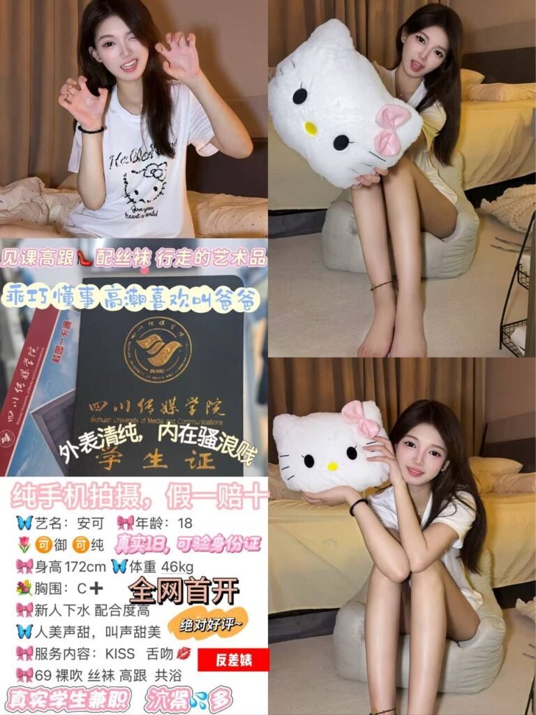 深圳大冲高端商务陪同资料封面