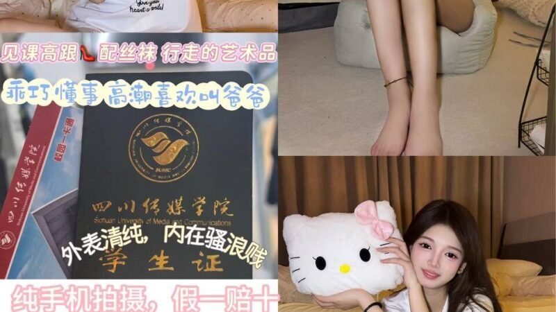 深圳大冲高端商务陪同资料封面