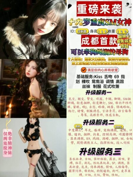 上海中山公园高端商务陪同资料封面