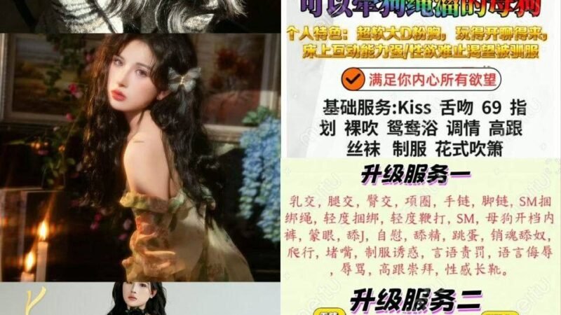 上海中山公园高端商务陪同资料封面