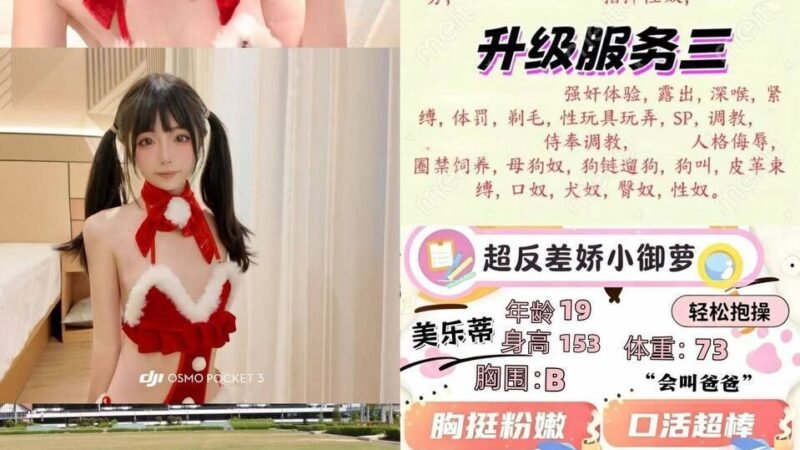 重庆磁器口高端商务陪同资料封面
