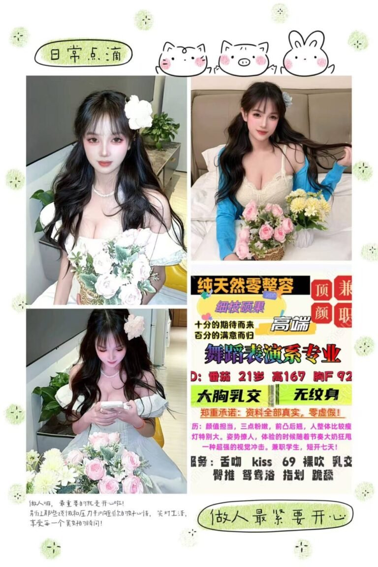 北京丽泽高端商务陪同资料封面