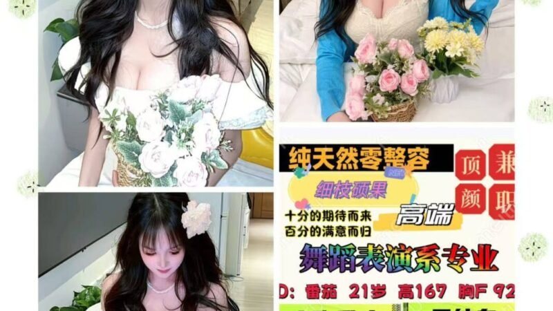 北京丽泽高端商务陪同资料封面