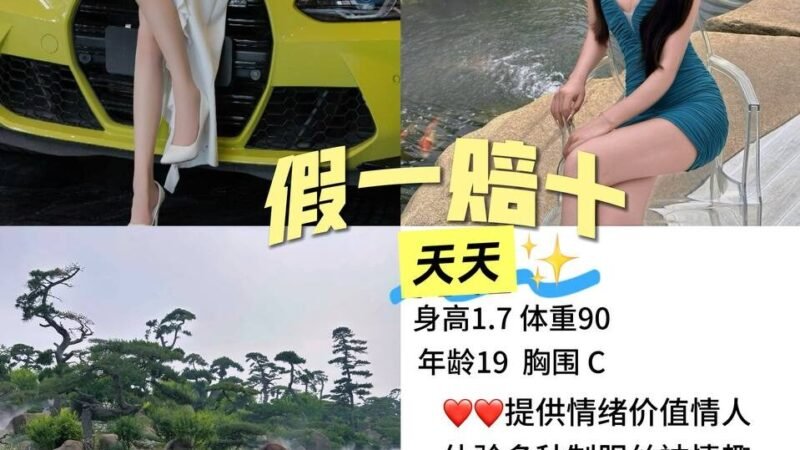 杭州临平高端商务陪同资料封面