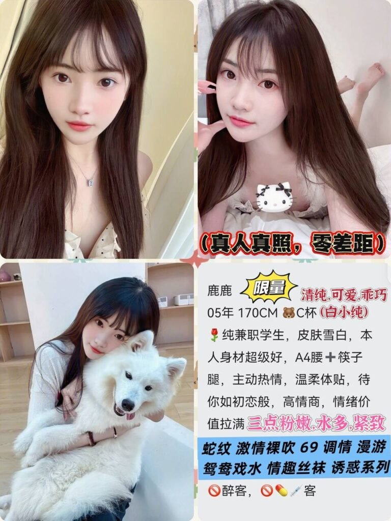 深圳西丽高端商务陪同资料封面