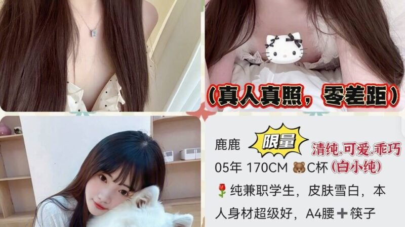 深圳西丽高端商务陪同资料封面