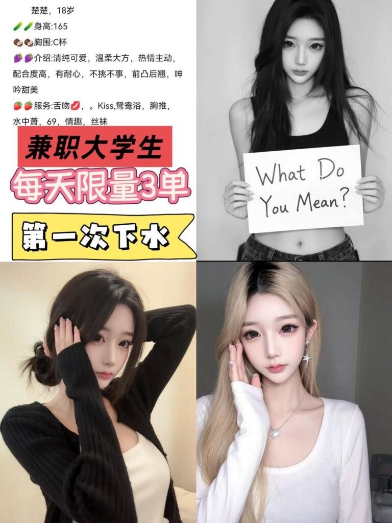 北京五棵松高端商务陪同资料封面
