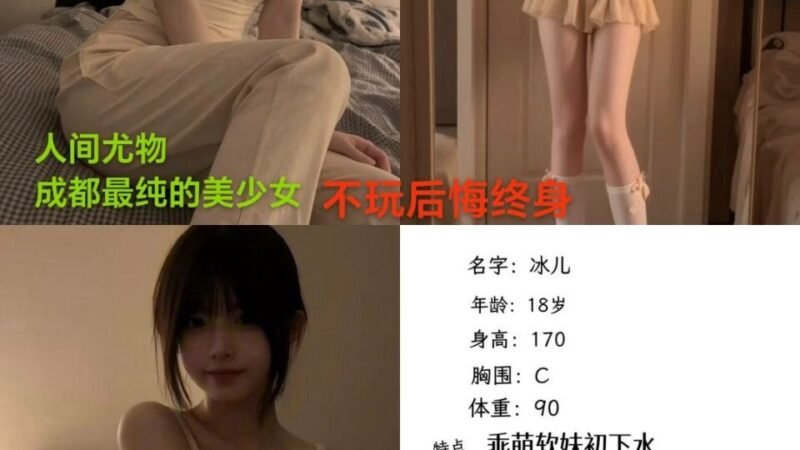 成都成华高端商务陪同资料封面