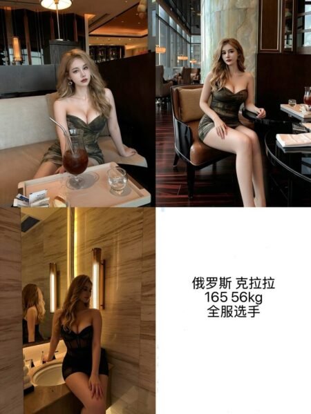 北京亦庄高端商务陪同资料封面