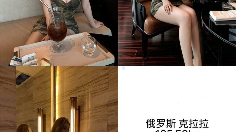 北京亦庄高端商务陪同资料封面