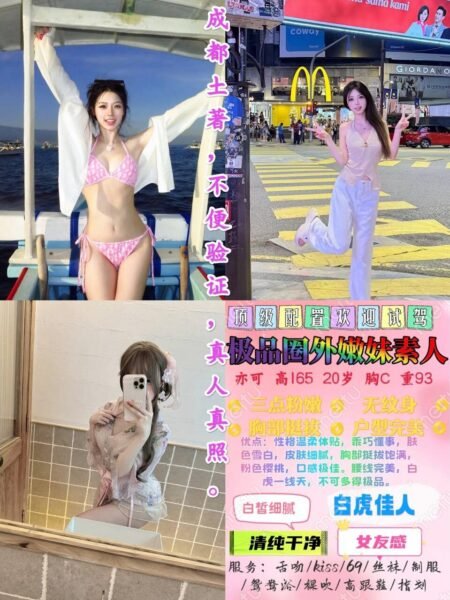北京顺义高端商务陪同资料封面