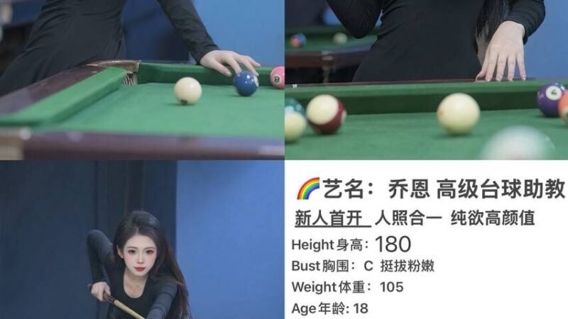 上海金桥高端商务陪同资料封面