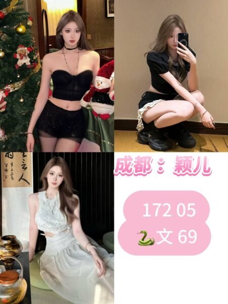 成都温江高端商务陪同资料封面